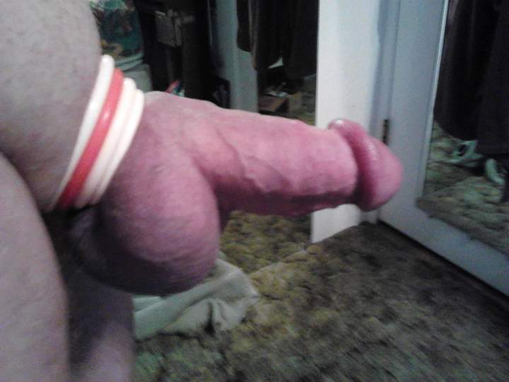 Adult image from fish4free