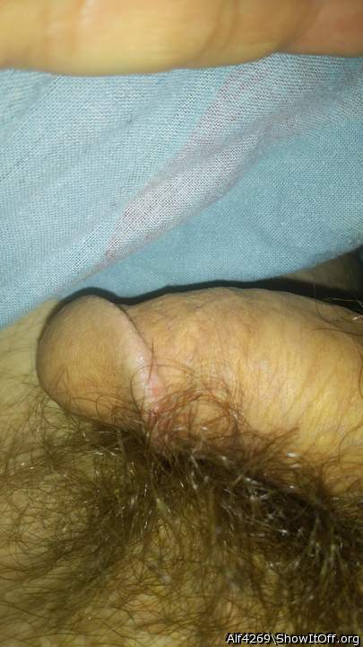 Adult image from Alf4269