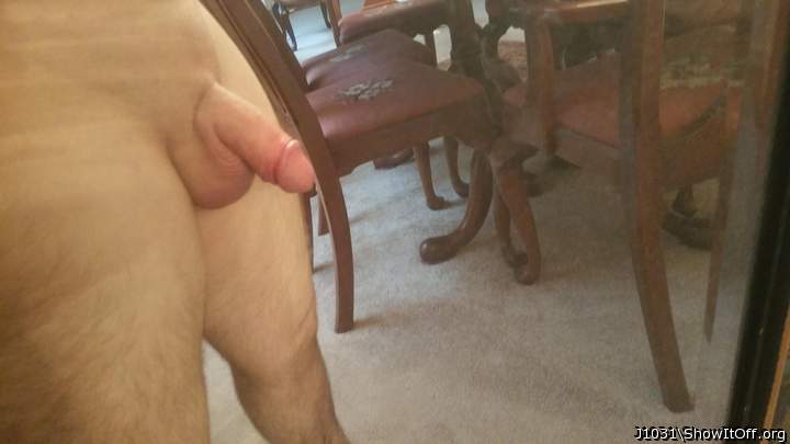 Adult image from J1031