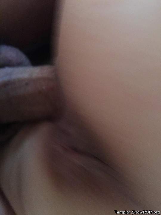 Adult image from Templar