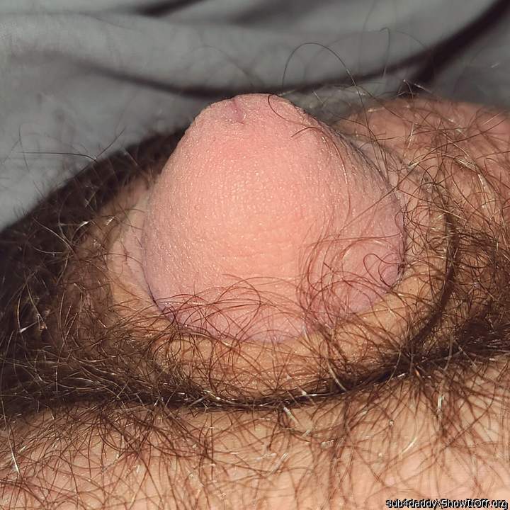 Adult image from Sub4Daddy