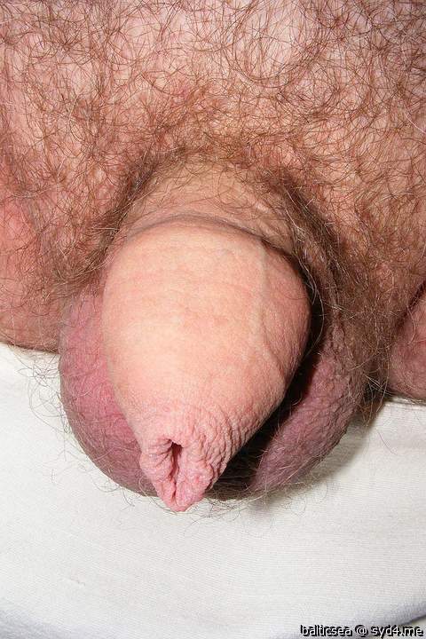 Adult image from balticsea