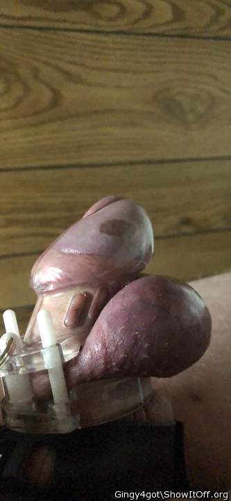 Adult image from Gingy4got
