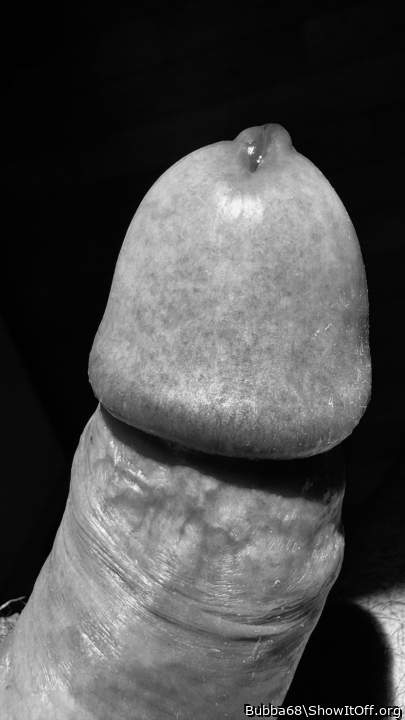 Adult image from Bubba68