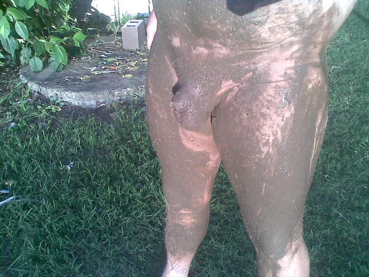 Adult image from 450