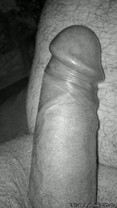 Adult image from TNT-48-8