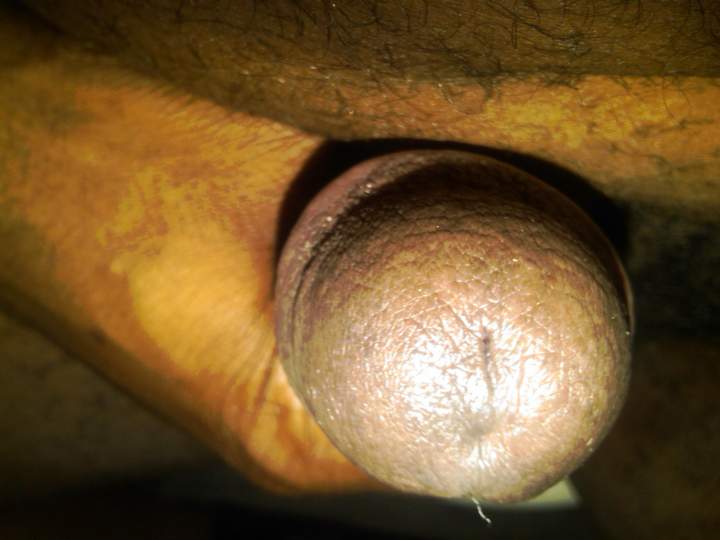 Adult image from GaryMPLS72