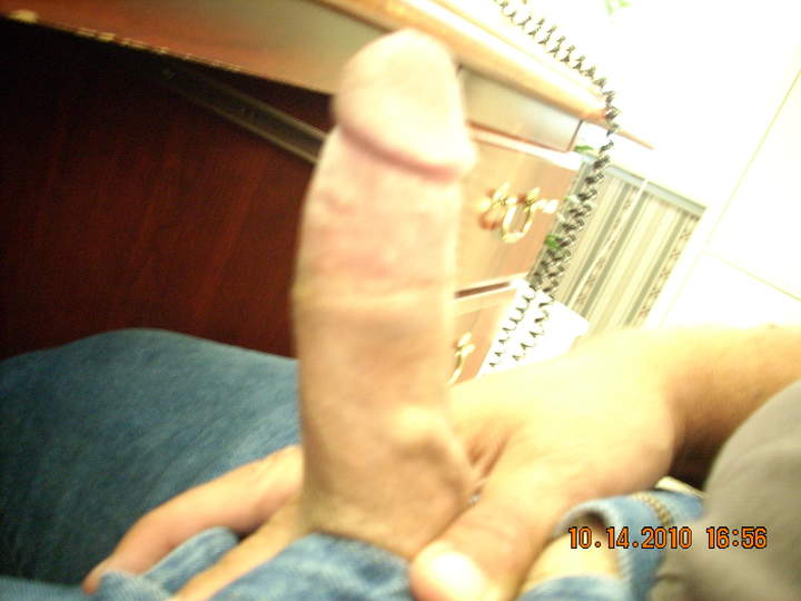 Adult image from wa2524