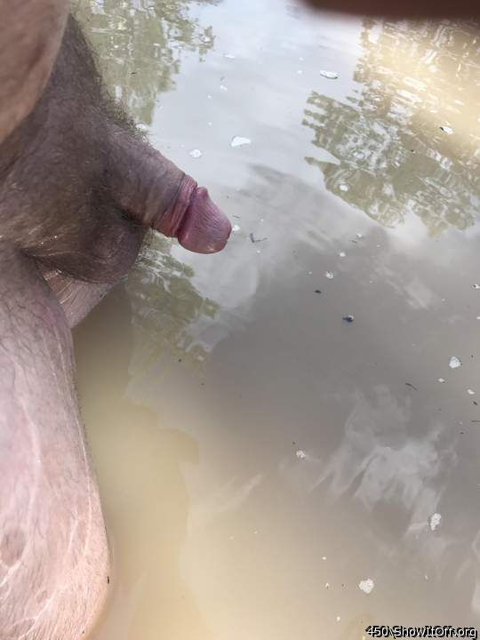 Adult image from 450
