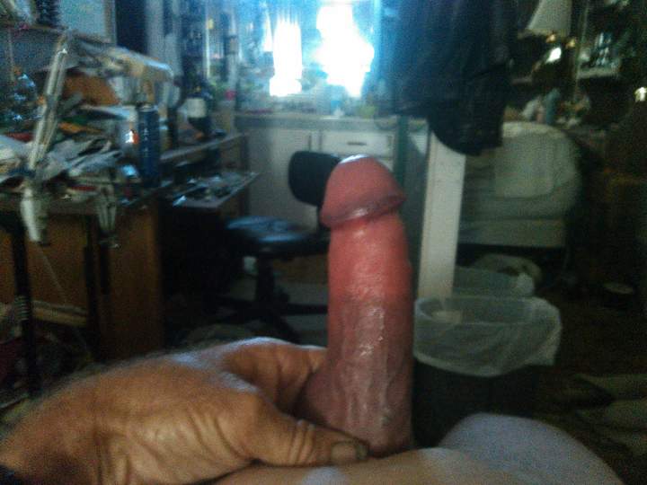 Adult image from fish4free