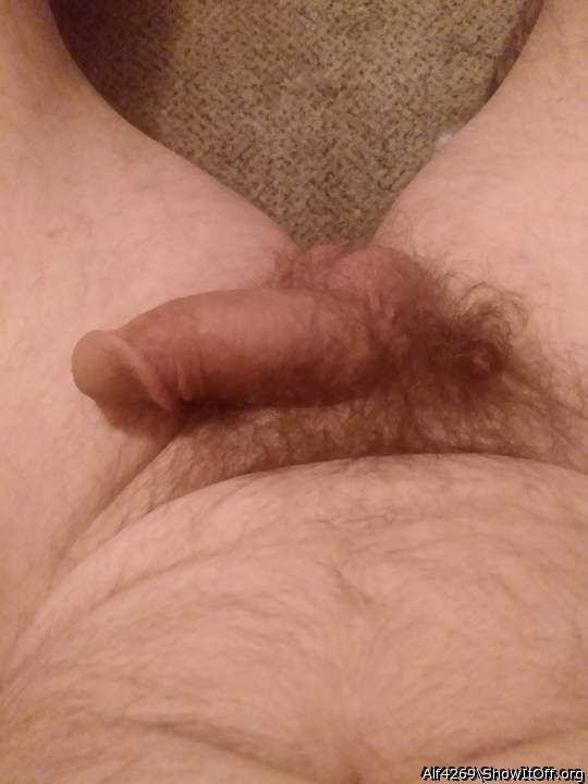 Adult image from Alf4269