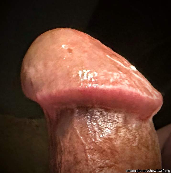 Adult image from misterplump