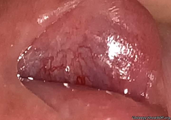Check out these vessels in my slut hole!