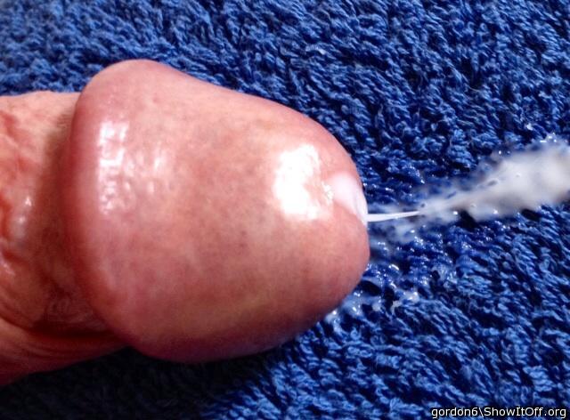 Adult image from gordon6