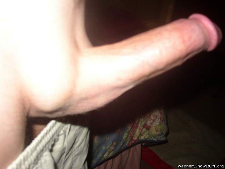 Adult image from weaner
