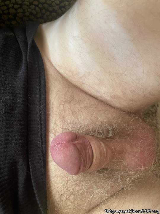 Adult image from Oldgreyeyes