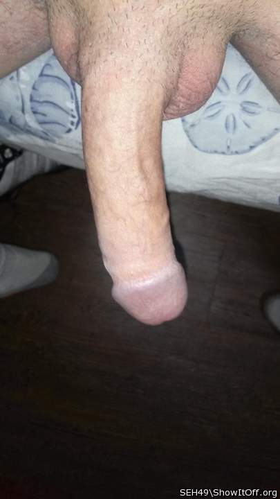 Adult image from SEH49