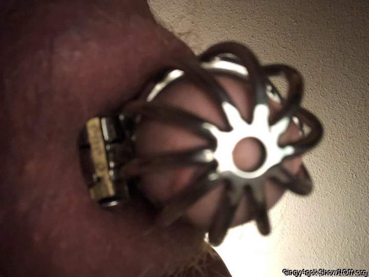 Adult image from Gingy4got