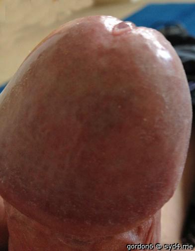 Adult image from gordon6
