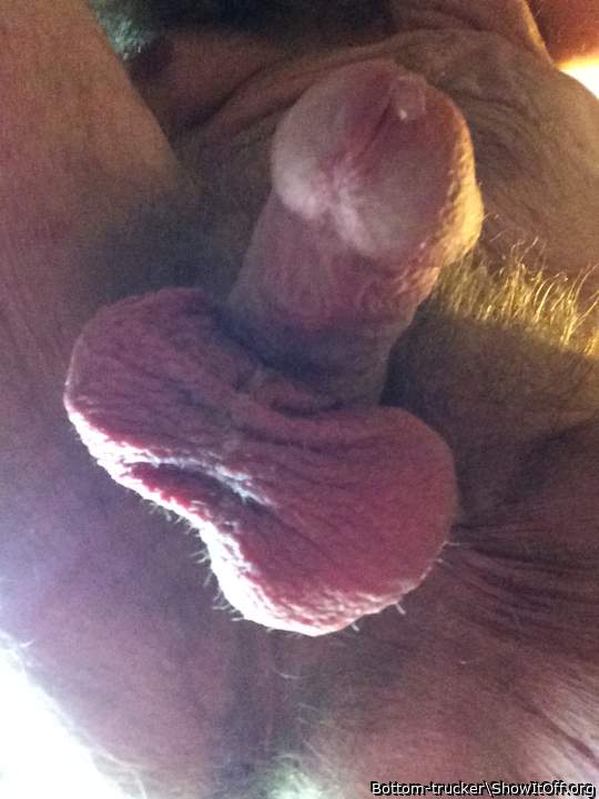 Adult image from Bottom-trucker