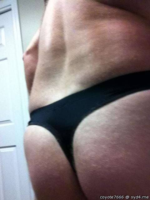 Adult image from coyote7666