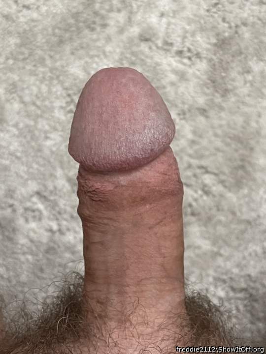 Adult image from freddie2112