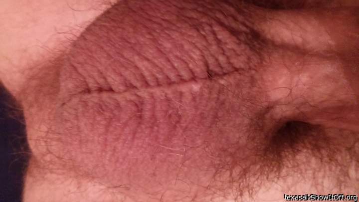 Adult image from texasal