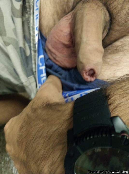 Adult image from Haralampi