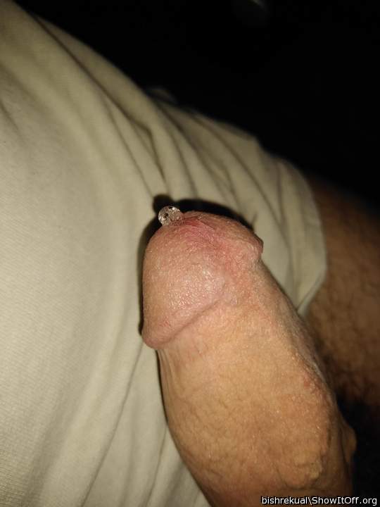 Adult image from bishrekual