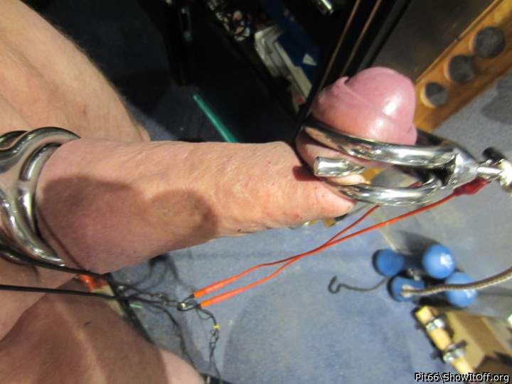 Adult image from Pit66