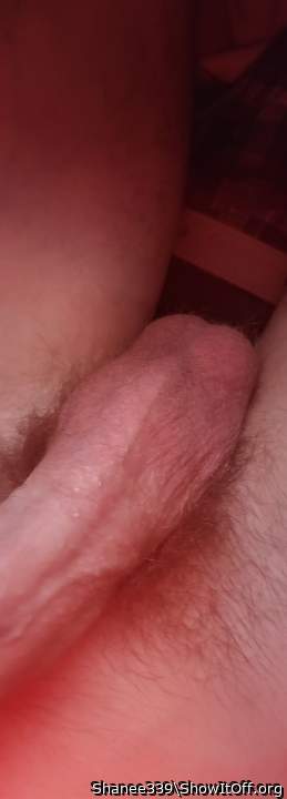 Adult image from Shanee339