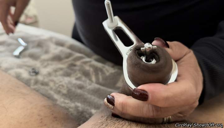 Adult image from CircPlay