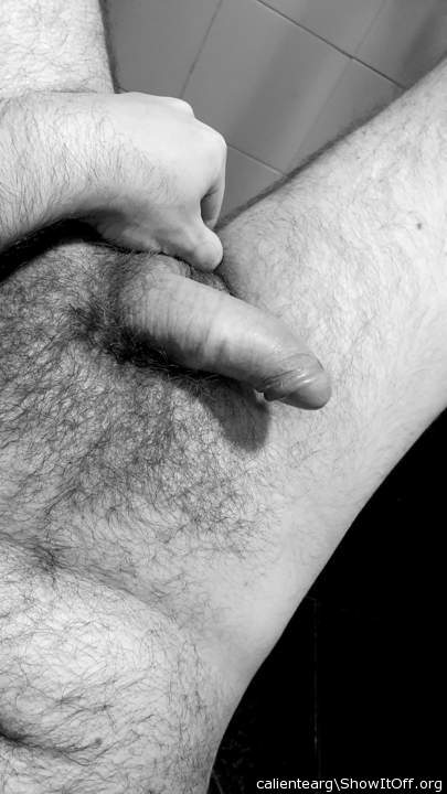 Adult image from calientearg