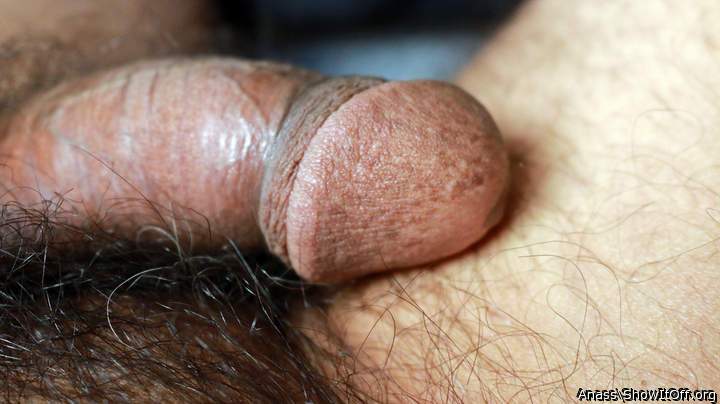 Adult image from Anass