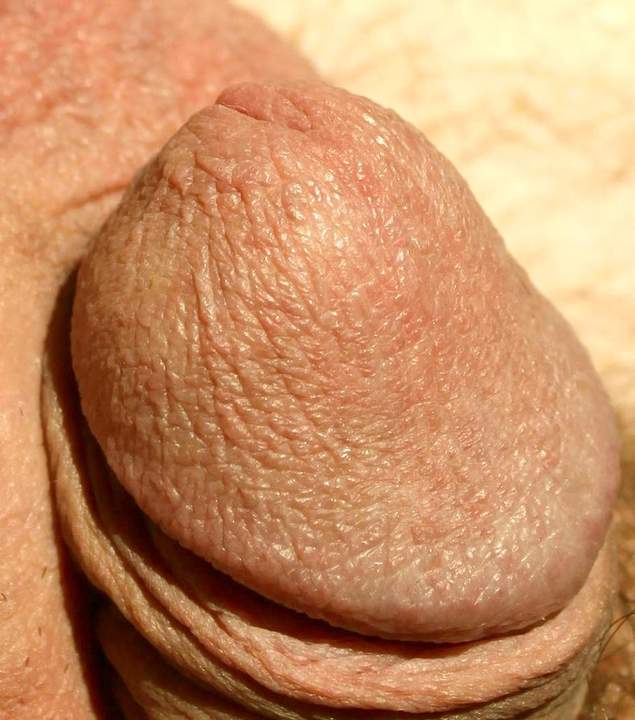 Adult image from lilsoftee
