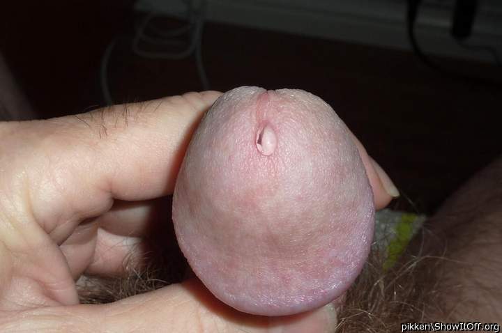 Adult image from pikken