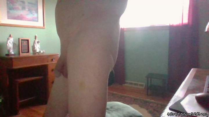 Adult image from Alfred