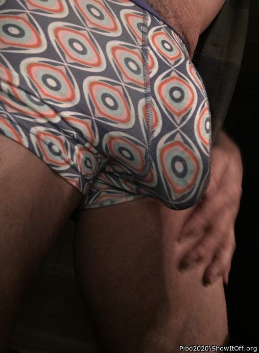 Adult image from Pibo2020