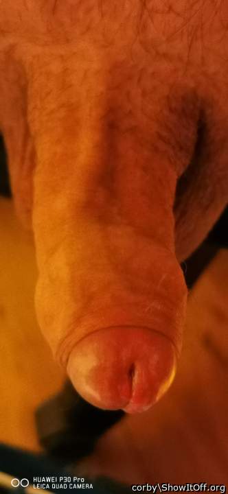 Adult image from corby