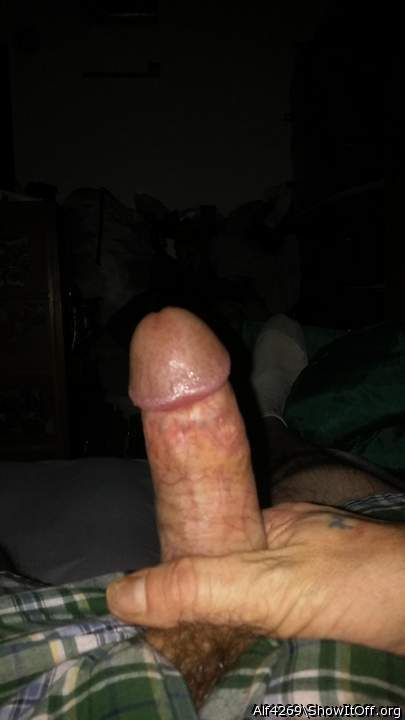 Adult image from Alf4269