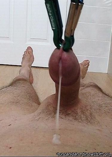 Screenshot from A Springy Wank!