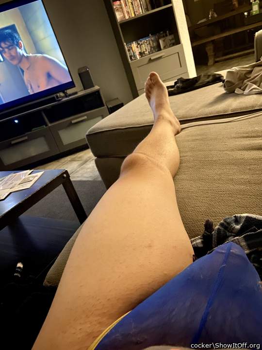 Adult image from cocker