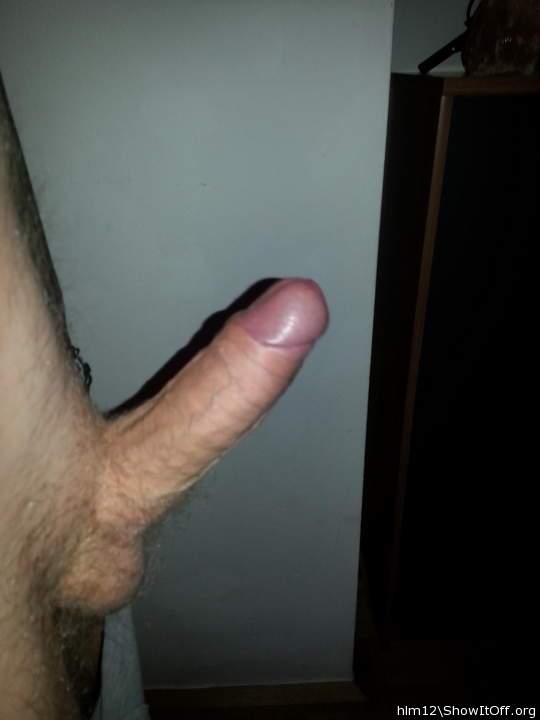 Adult image from hlm12