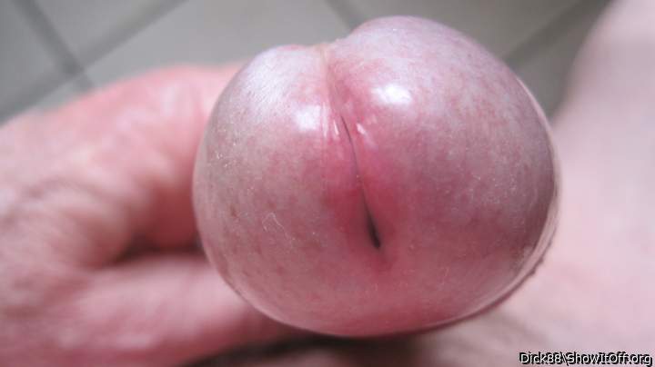 lovely dick head
