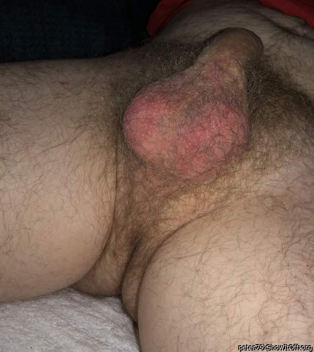 Adult image from peter79