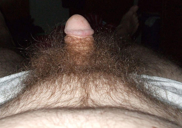 Adult image from billycat
