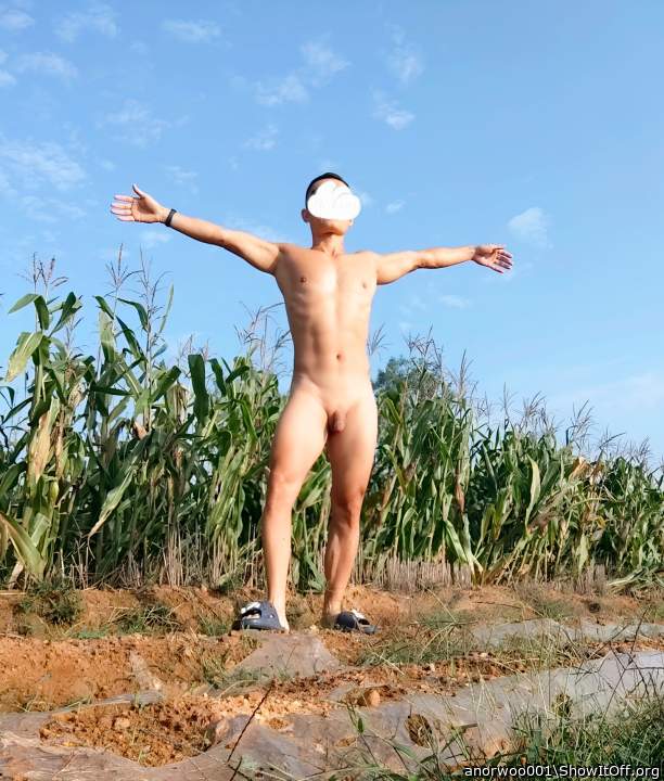 Adult image from anorwoo001