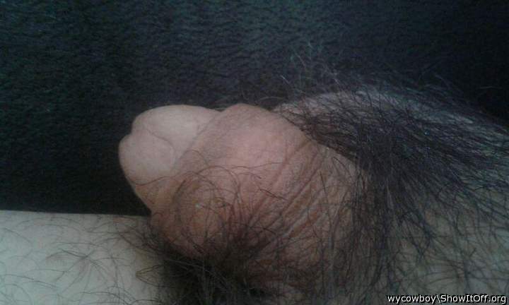 Adult image from wycowboy