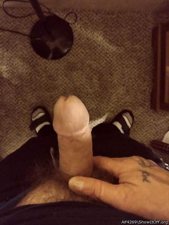 Adult image from Alf4269