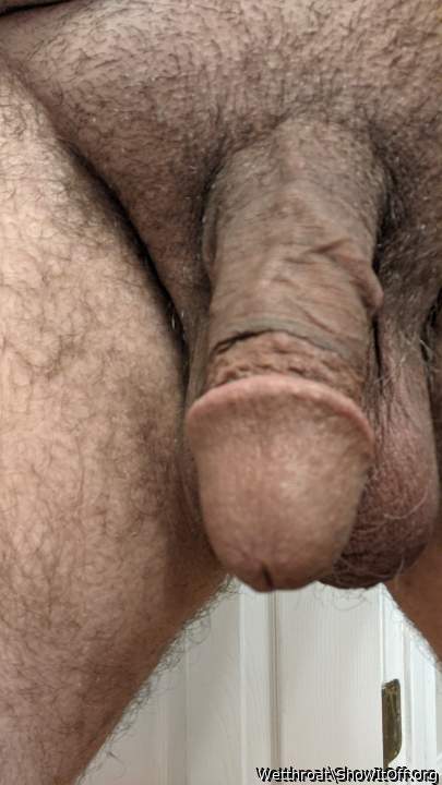 Adult image from Wetthroat